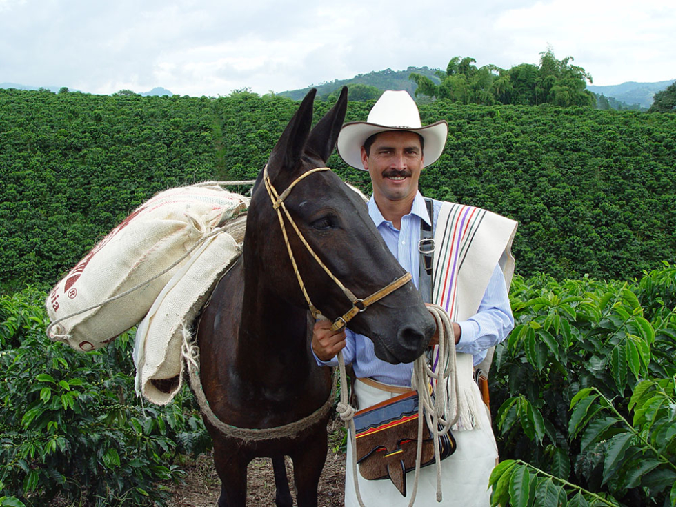 Juan Valdez Cafés | Specialty Colombian Coffee News